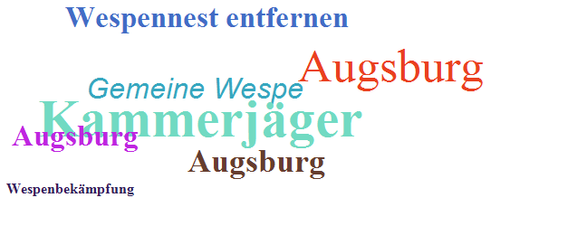 Wespenbekämpfung Augsburg