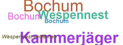 Wespennest entfernen Bochum