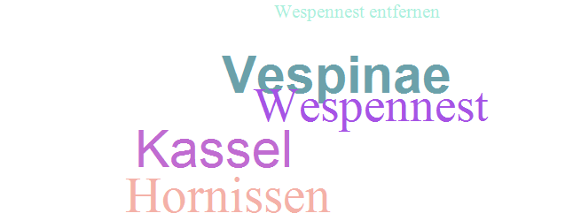 Wespennest Kassel