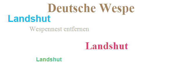 Wespennest Landshut
